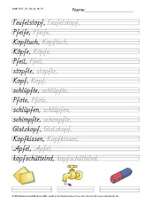 DSS_2S_Bu_pf_Nr_01.pdf